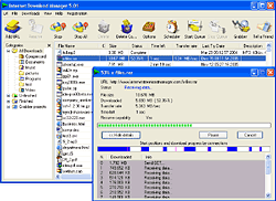 IDM Progresso do Download